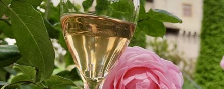 Se son Rosa fioriranno: degustazione di varie interpretazioni di rosé