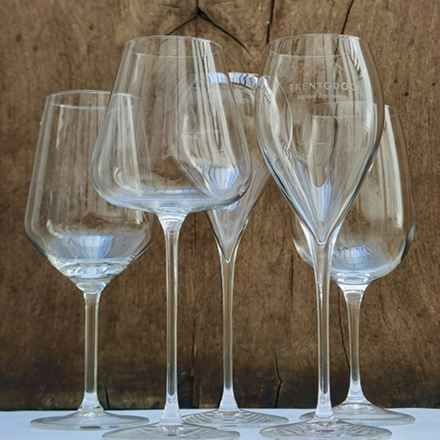Cinque calici per Trentodoc