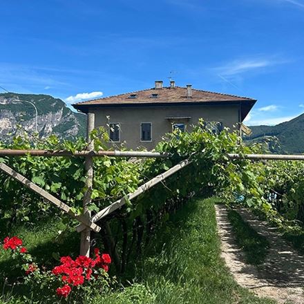 Il racconto del Basilisco, il Trentodoc che fa rivivere la leggenda