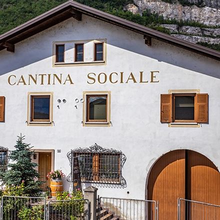 Trentodoc: dalle basi alle altezze