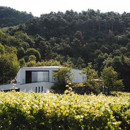Bolle d'arte Trentodoc a Cantina Salim