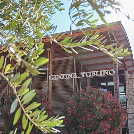 Degustazione dinamica Trentodoc