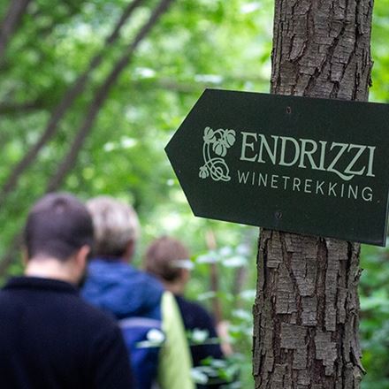 Winetrekking 