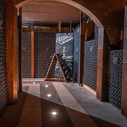 Aperinkino... passeggiando nei vigneti con Trentodoc