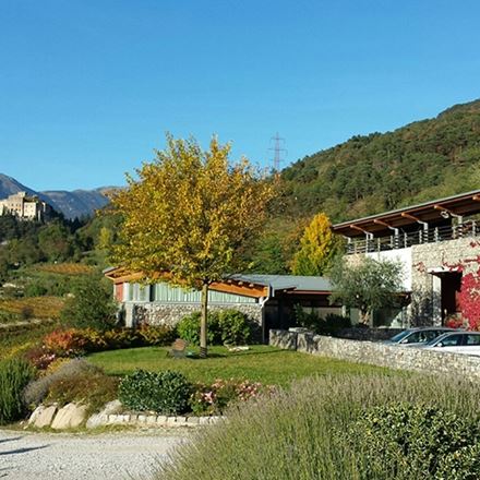 Yoga e bollicine Trentodoc