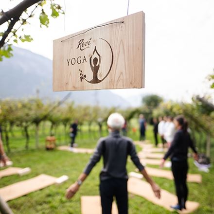 Yoga in vigna e degustazione Trentodoc