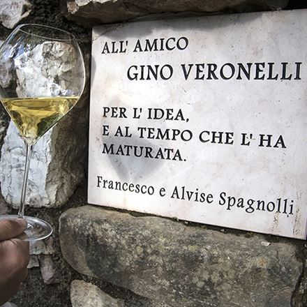 Sfumature e sinfonie dei Trentodoc blanc de noirs