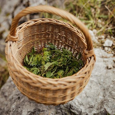 Tuberi, pollini e ortiche:  le nuove frontiere del vegetale
