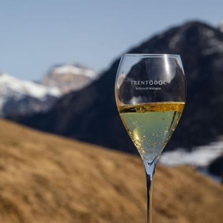 Perché il vino di montagna è differente