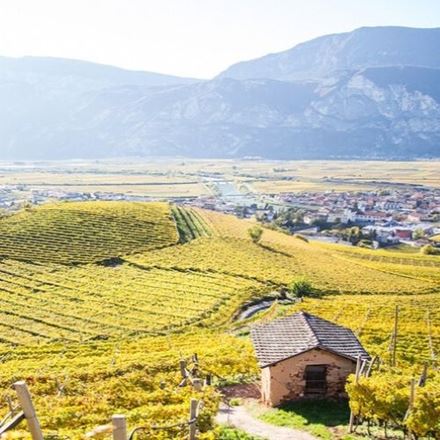 Raccontare il vino, accogliere il mondo: come cambiano le cantine