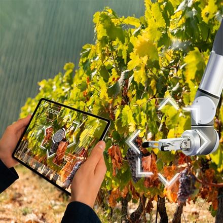 Cosa accadrà con l'intelligenza artificiale nel vino