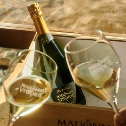 Pedalando nel Terroir: viaggio tra vigne e Trentodoc