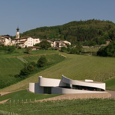 Passeggiata dalla vigna alla cantina
