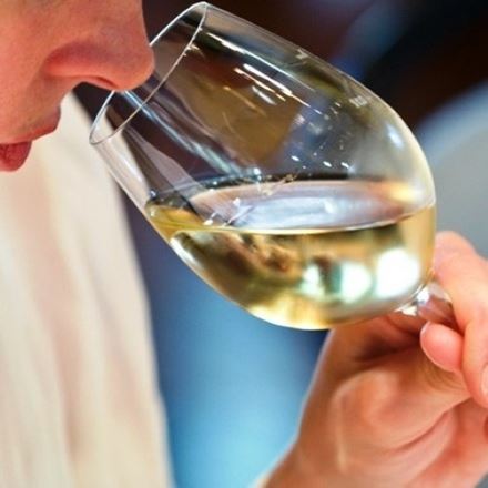 Pagelle in cantina: come si giudica il vino oggi